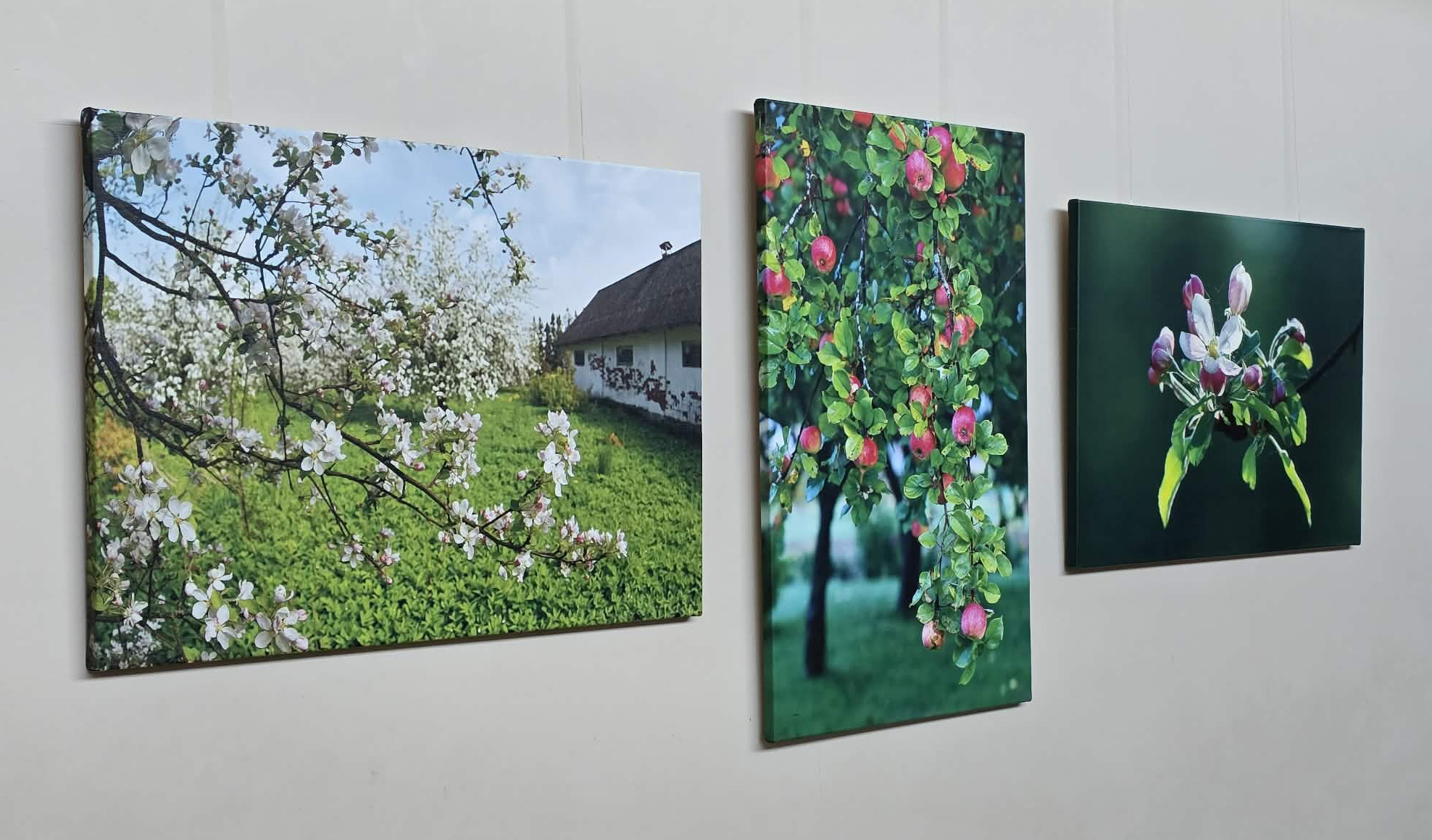 Ülo Soometsa näitus "HETKED"